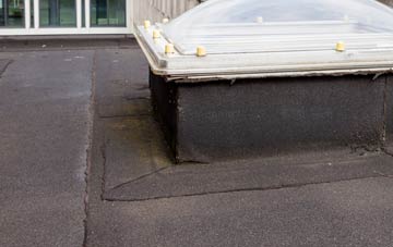 disadvantages of Toller Whelme flat roofs