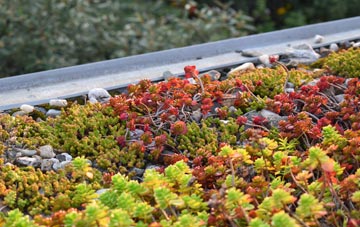 the cost of Toller Whelme green roof installation