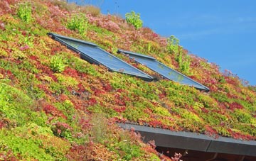 Toller Whelme living roof systems