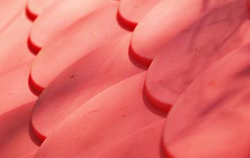 Toller Whelme plastic roof costs