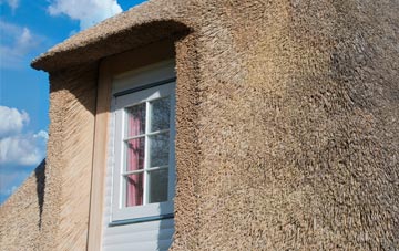 Toller Whelme thatch roof disadvantages